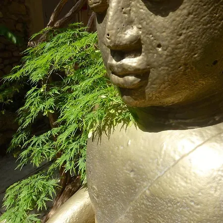 Отель Le Castellas & - Teritoria 4*