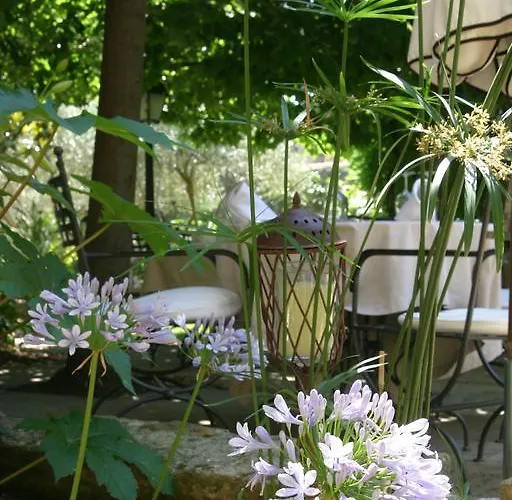 Le Castellas & - Pont Du Gard - Uzes